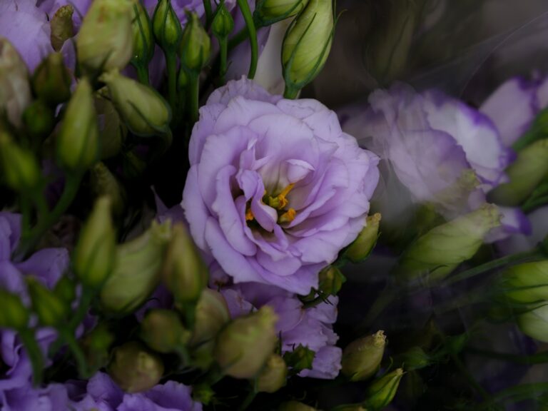 Seasonal Scents: Choosing the Perfect Fragrance for Fall